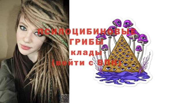 мяу мяу мука Нея