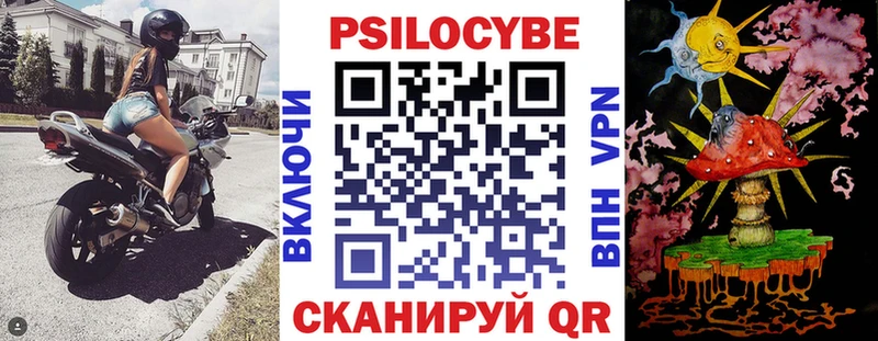 Купить Котельнич Галлюциногенные грибы Psilocybine cubensis